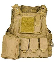 Gilet tactique AAV FSBE tan DELTA ARMORY