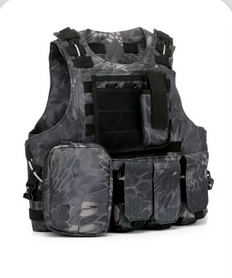 Gilet tactique AAV FSBE typhoon DELTA ARMORY